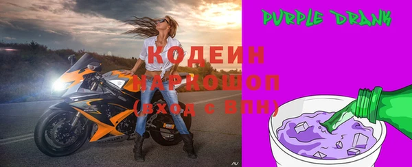 дмт Пересвет